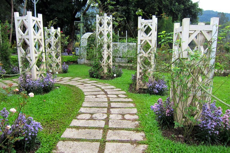 Winding Stone Path in Garden
