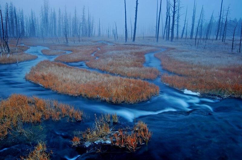 Winding Stream in Marsh
