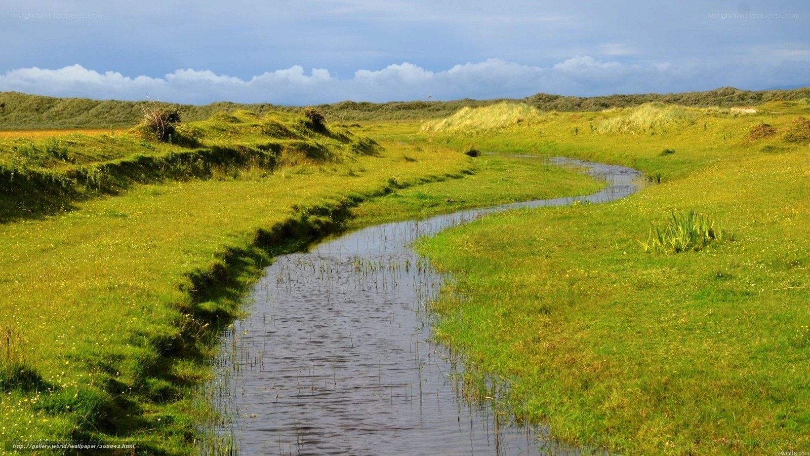 Winding stream through green fields