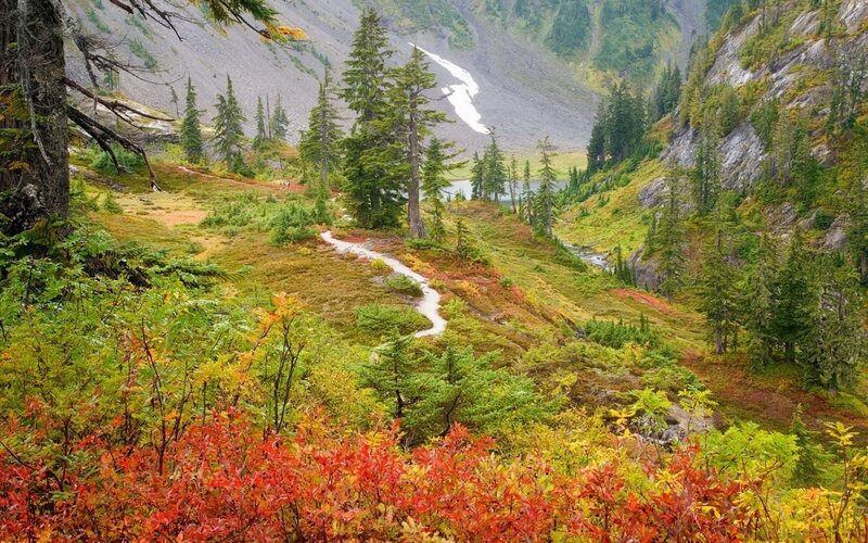 Winding Trail in Mountain Valley