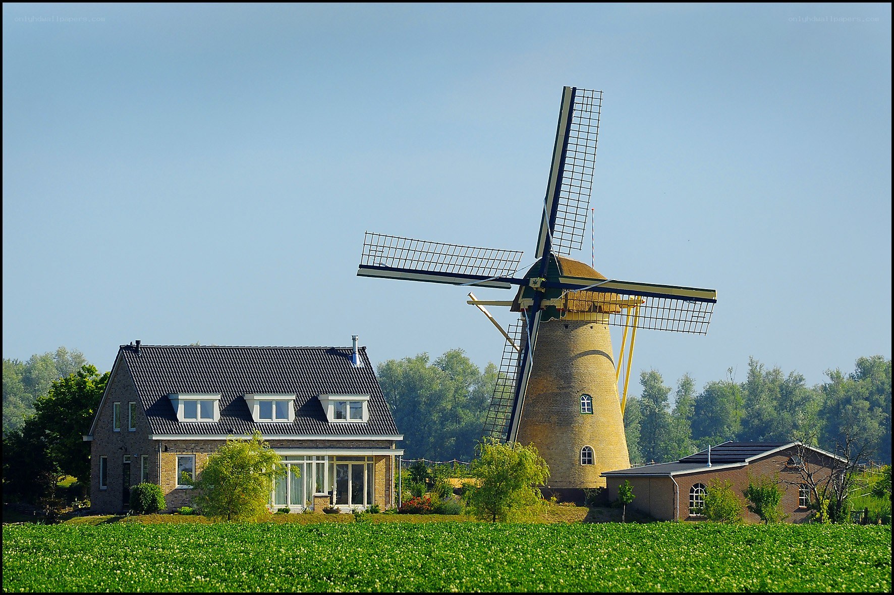 Windmill and house in green field