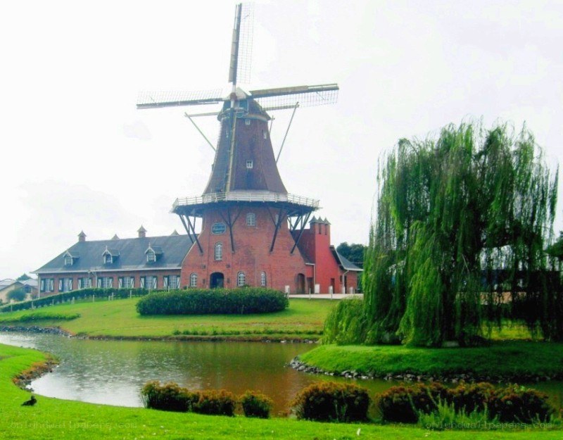 windmill and pond in park