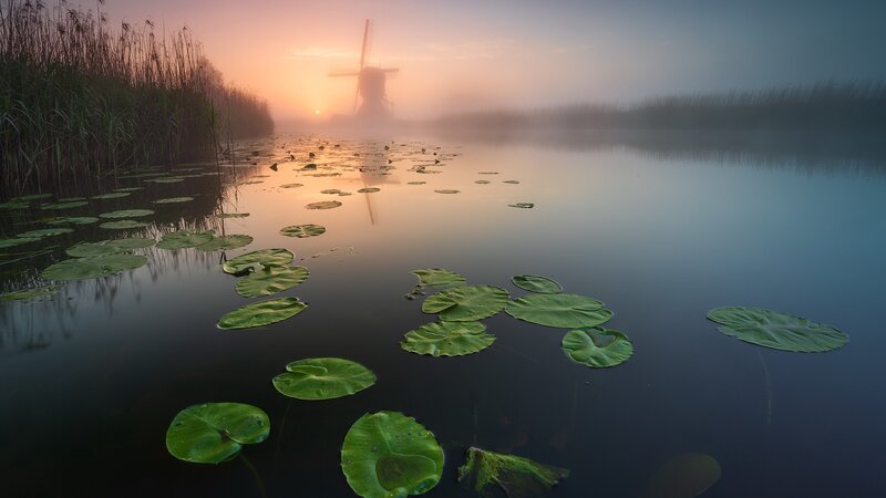 Windmill at Sunrise — Green