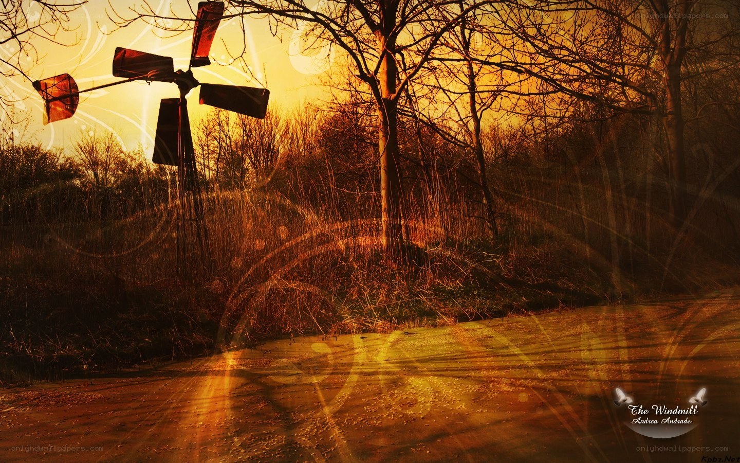 Windmill at sunset