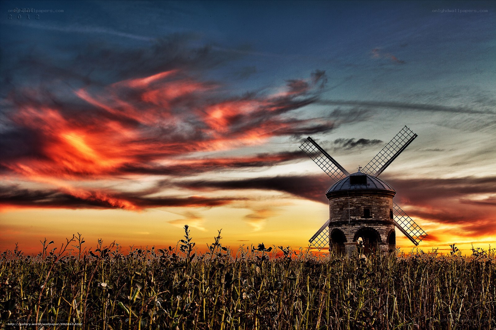 Windmill at sunset in a field