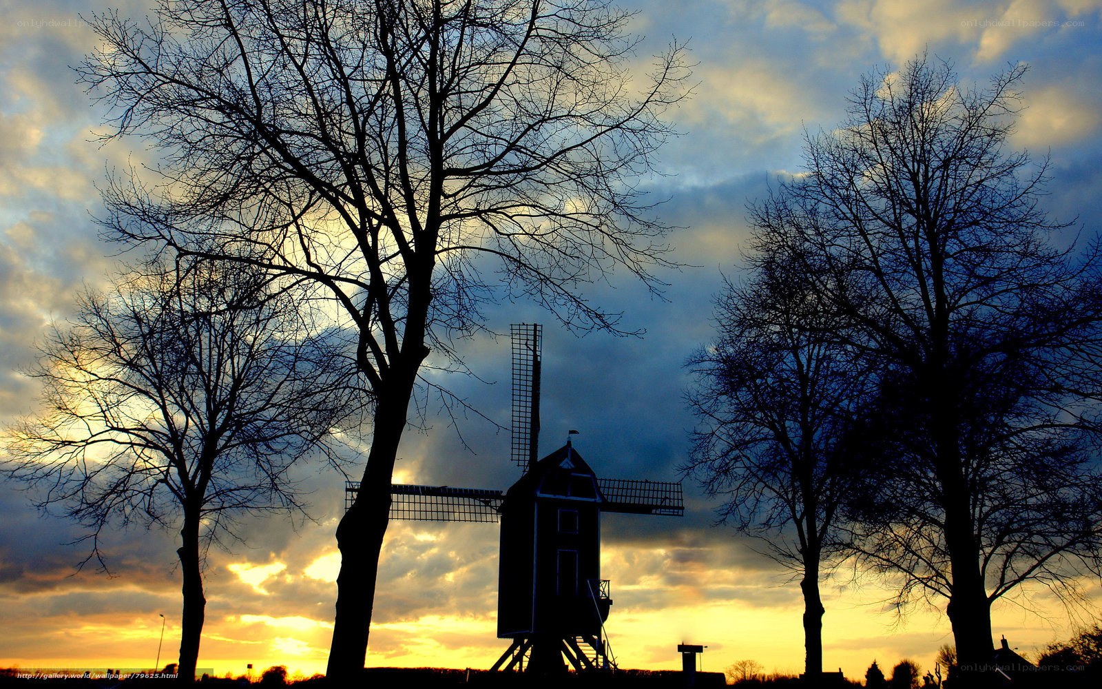 Windmill at sunset with bare trees