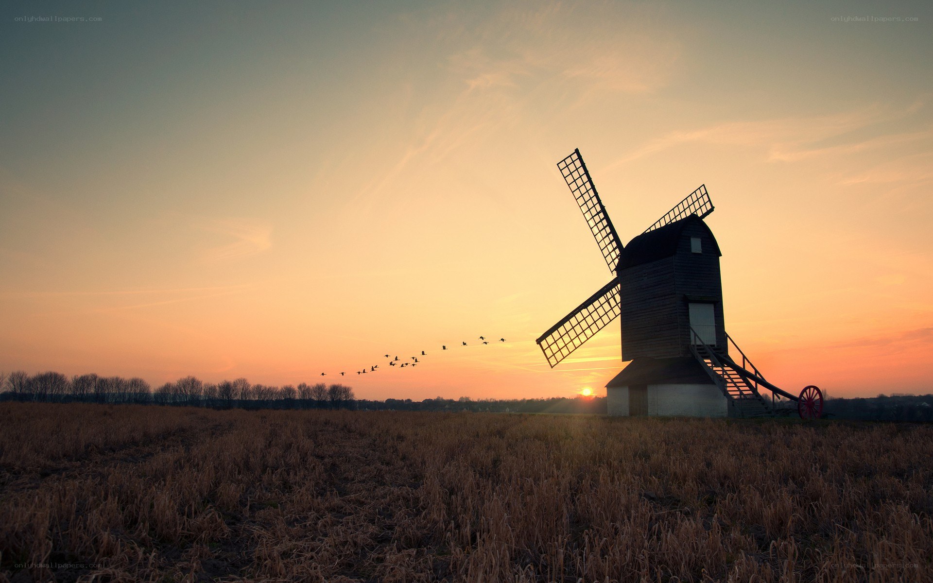 Windmill at sunset with birds