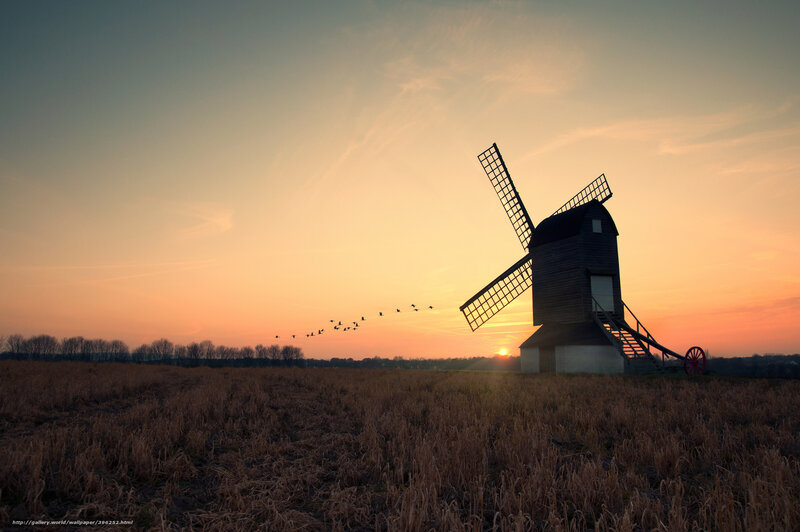 Windmill at sunset with birds