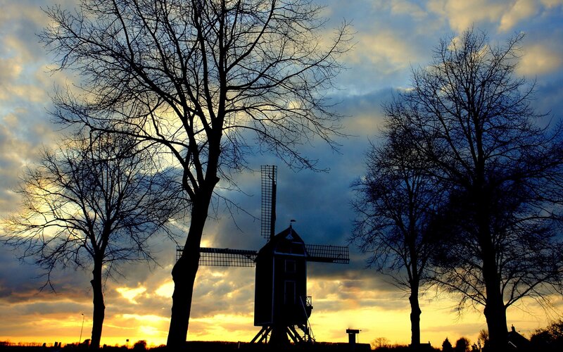 Windmill at Sunset — Yellow, Dramatic