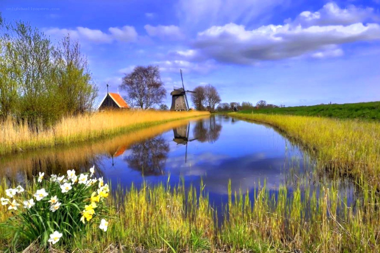 Windmill by a canal in spring