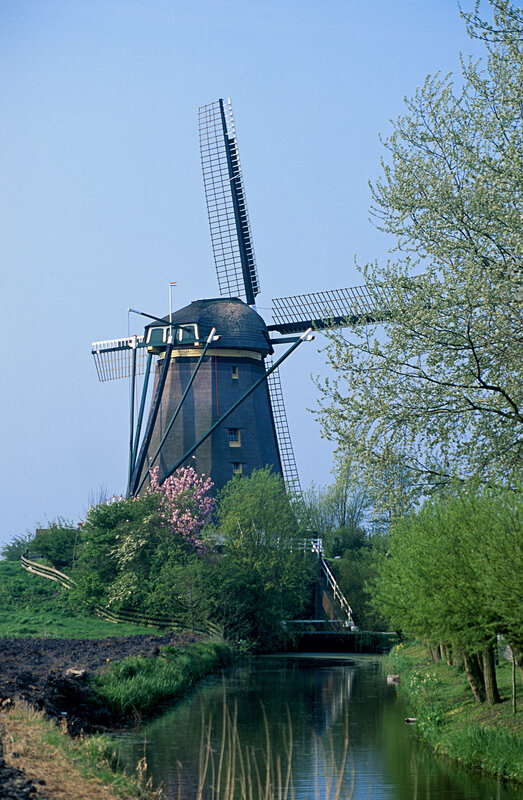 Windmill by a canal in spring