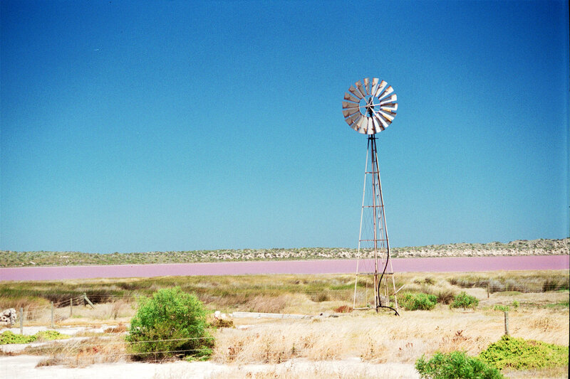 Windmill by pink lake
