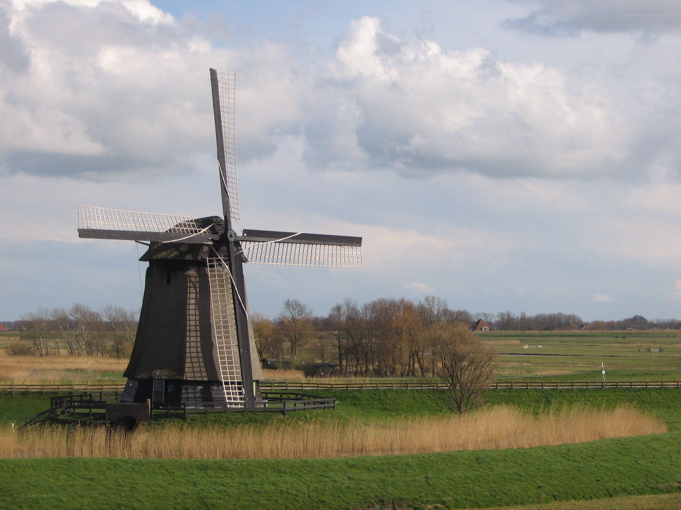 Windmill in a Dutch field