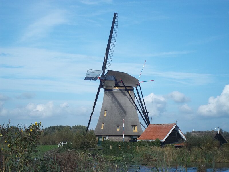 Windmill in a Field — Blue, Serene, Afternoon, Photograph