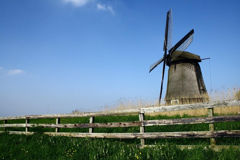 Windmill in a Field — Blue, Serene, Afternoon