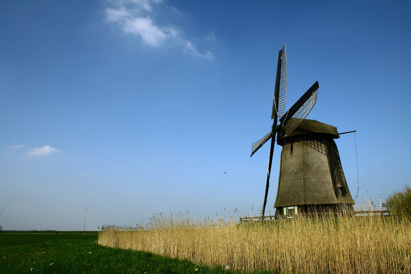 Windmill in a Field — Blue, Serene
