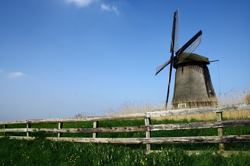 Windmill in a Field — Blue