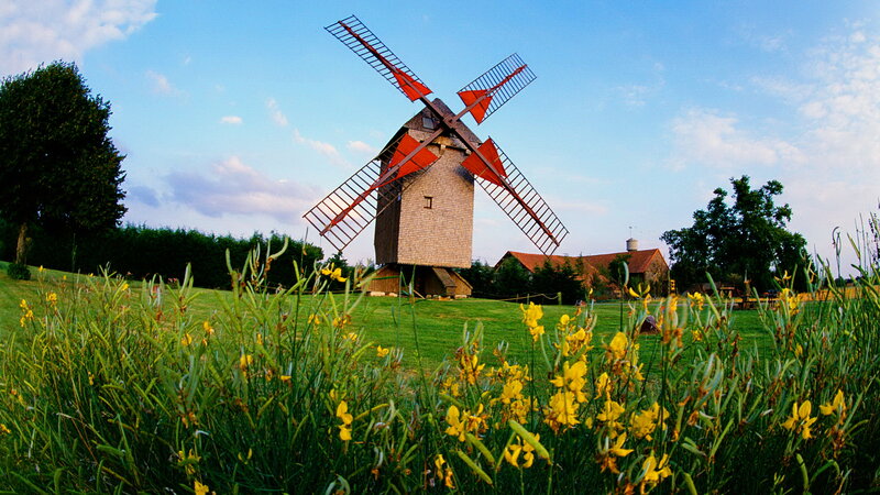 Windmill in a Field — Green, Serene
