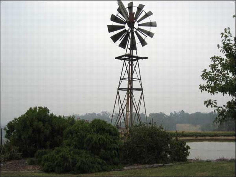 Windmill in a Field — Green