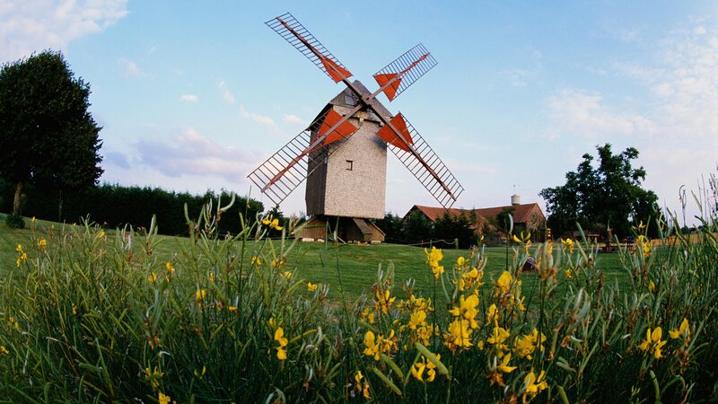 Windmill in a field of flowers