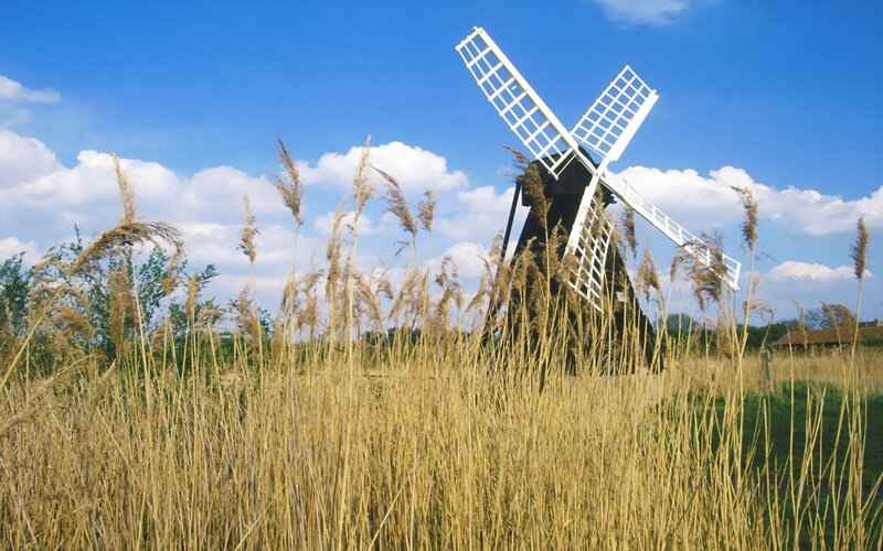 Windmill in a field of reeds