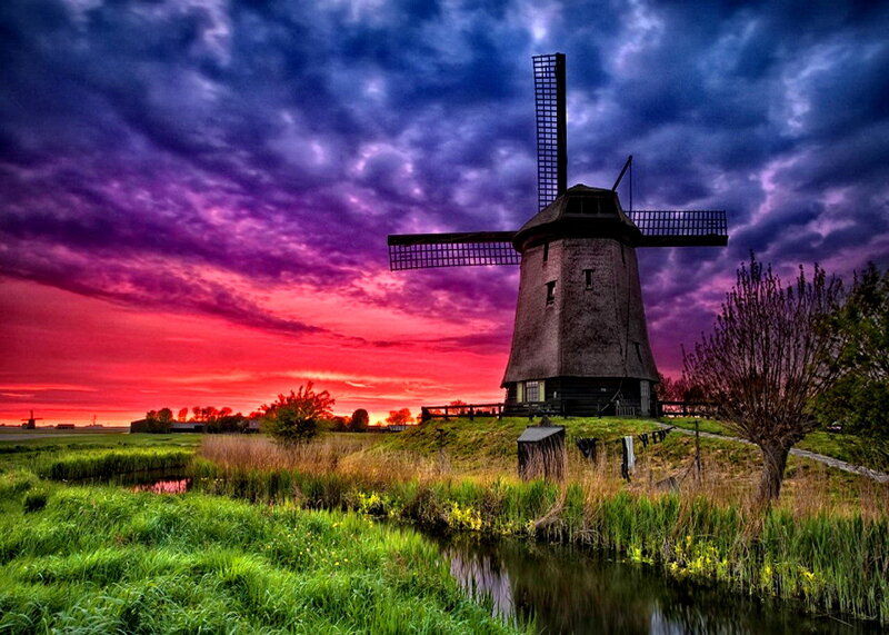 Windmill in a Field — Purple