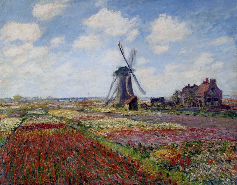 Windmill in a Flower Field