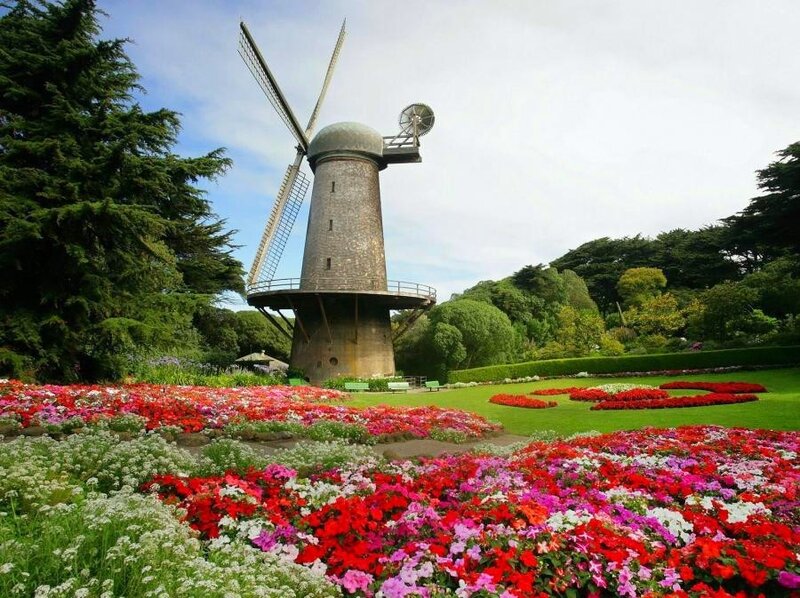 Windmill in a flower garden