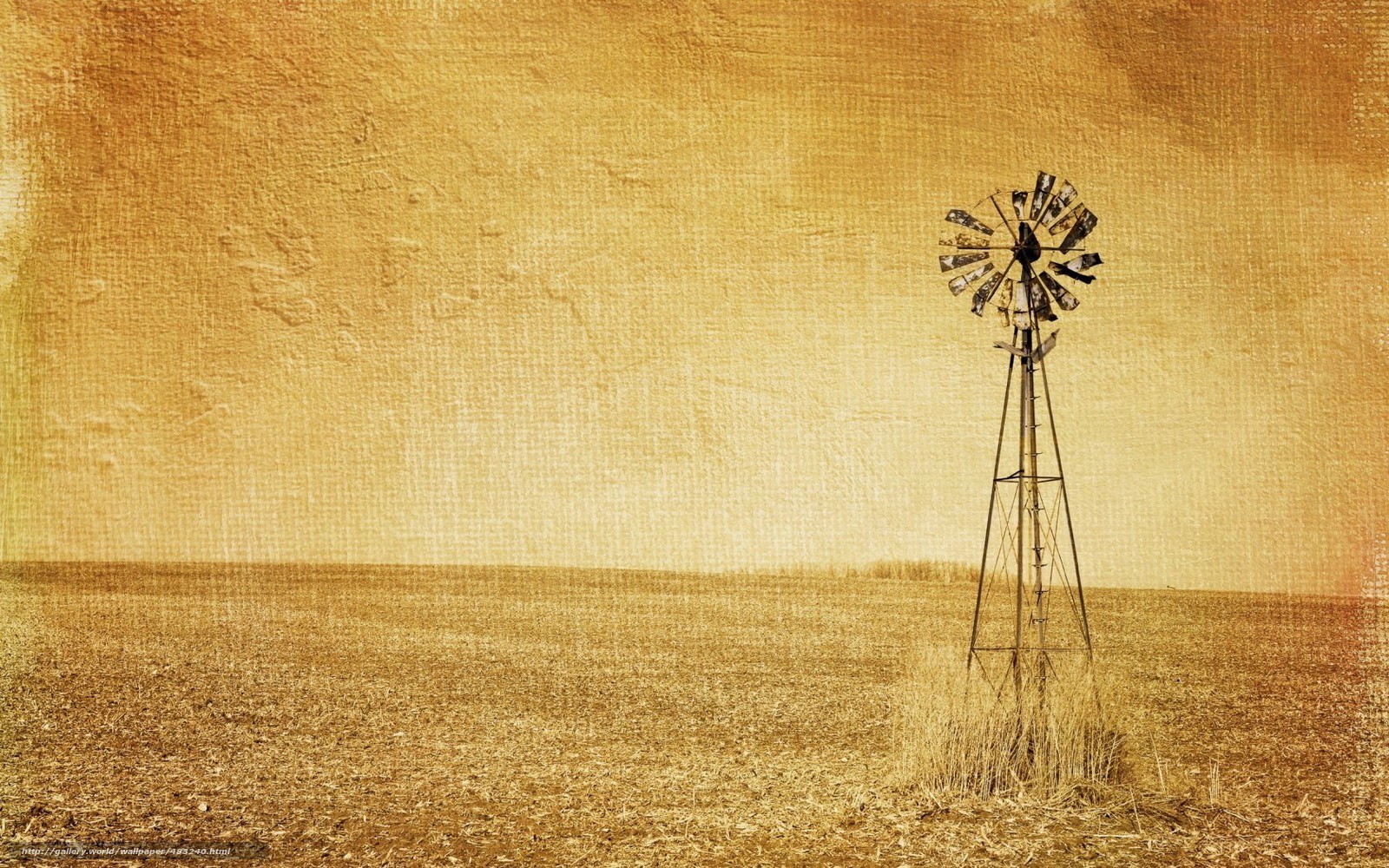 Windmill in a golden field