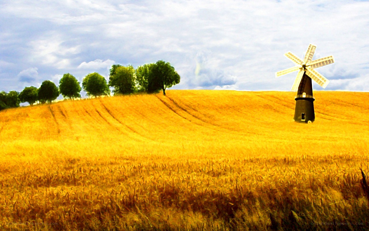 Windmill in a golden field
