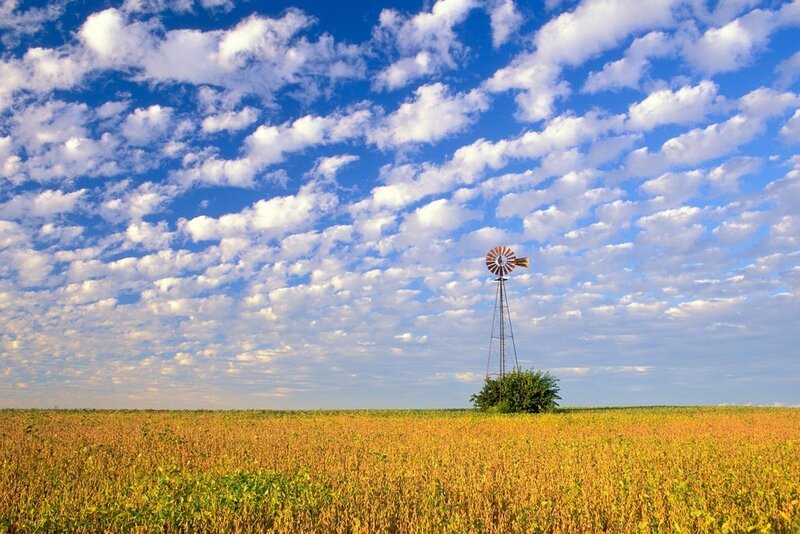 Windmill in a golden field