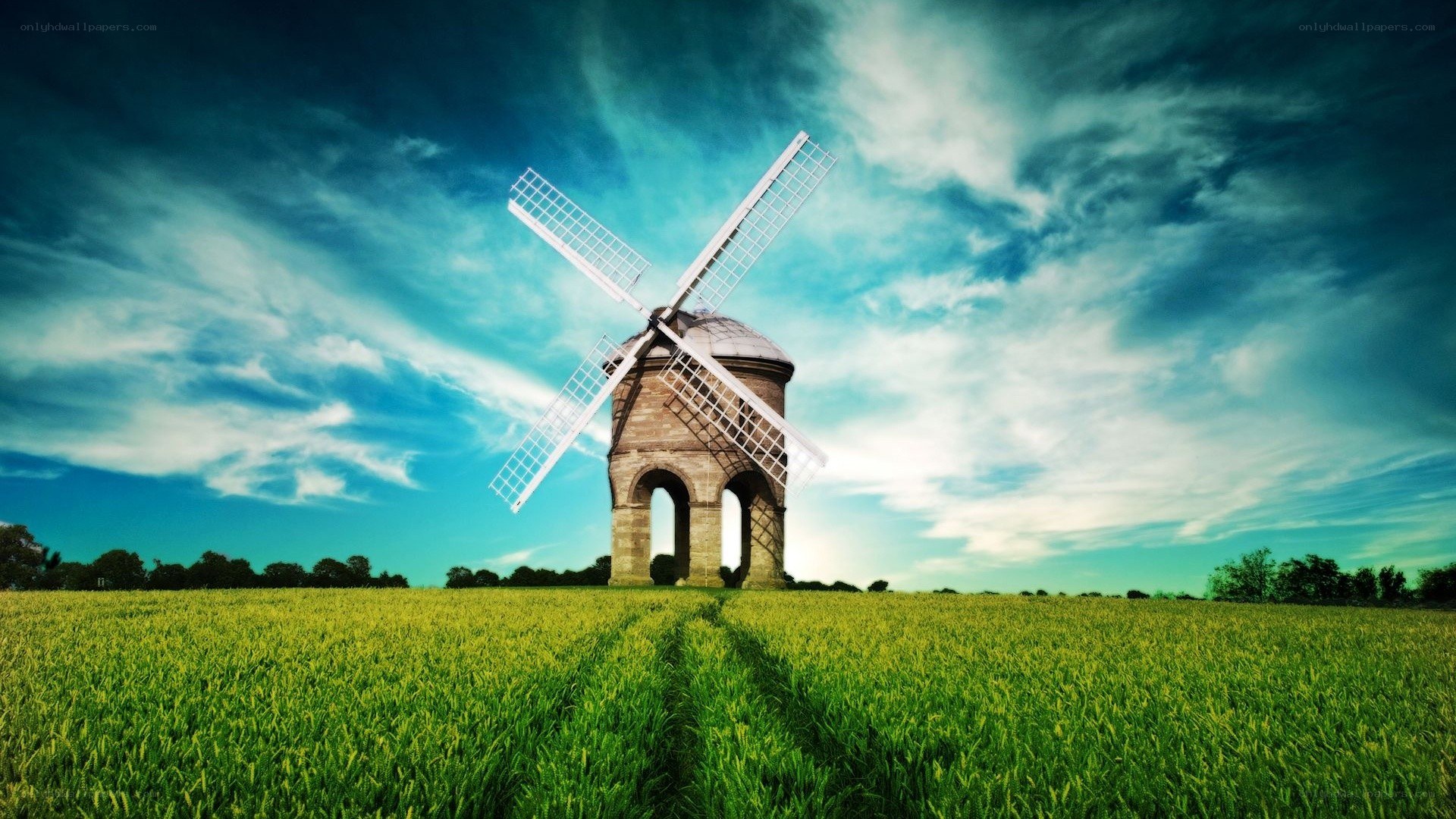 Windmill in a green field