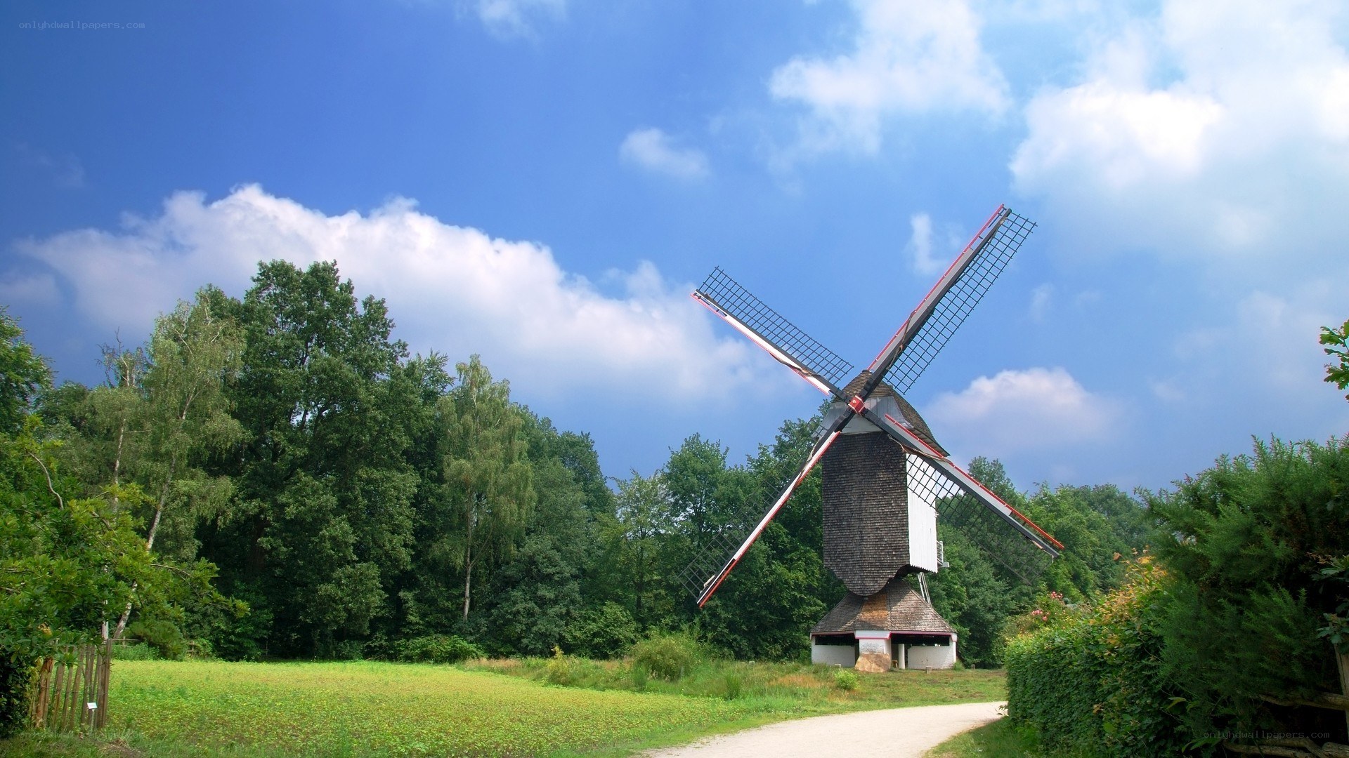 Windmill in a green field