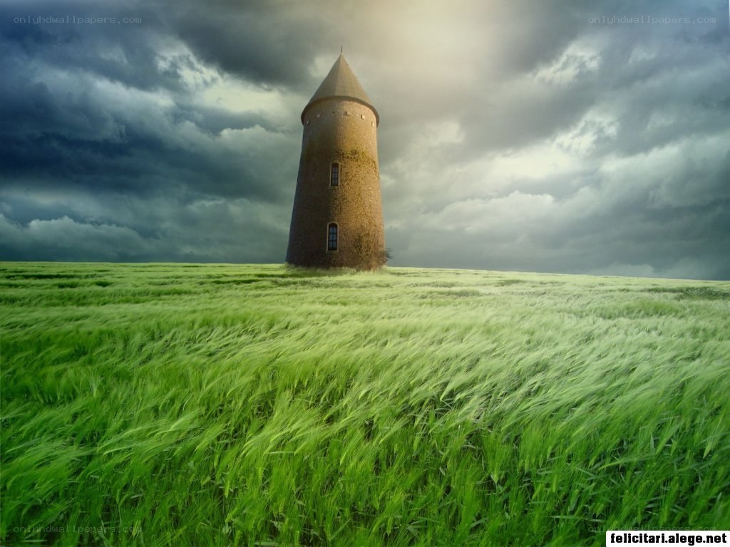 Windmill in a green field