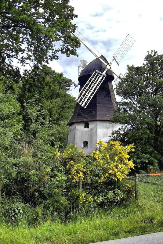 Windmill in a green landscape