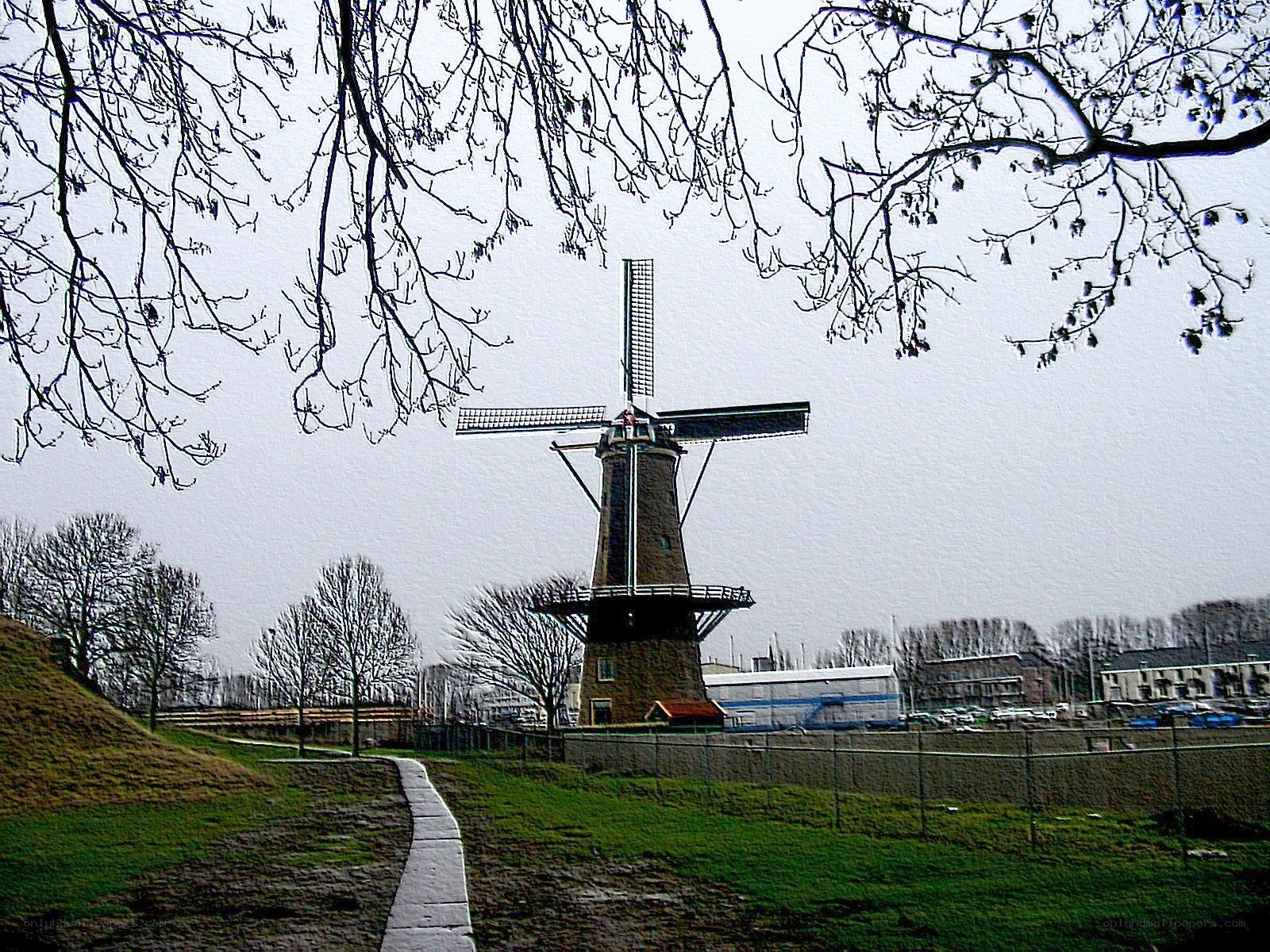 Windmill in a park