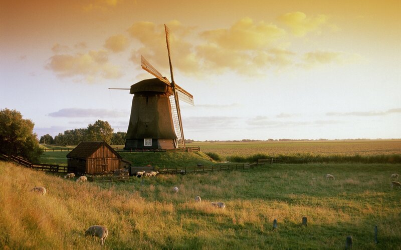 Windmill in a pastoral landscape