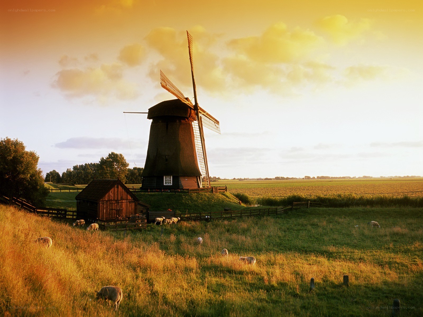 Windmill in a pastoral landscape