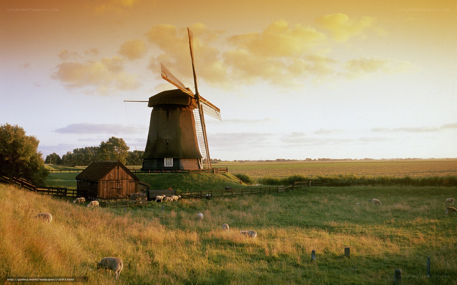 Windmill in a pastoral landscape