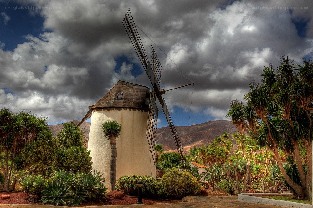 Windmill in a tropical garden