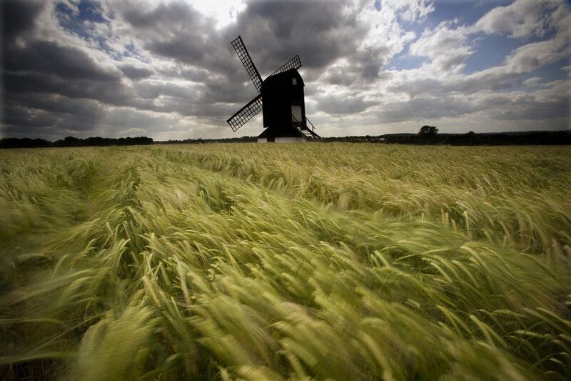 Windmill in a wheat field