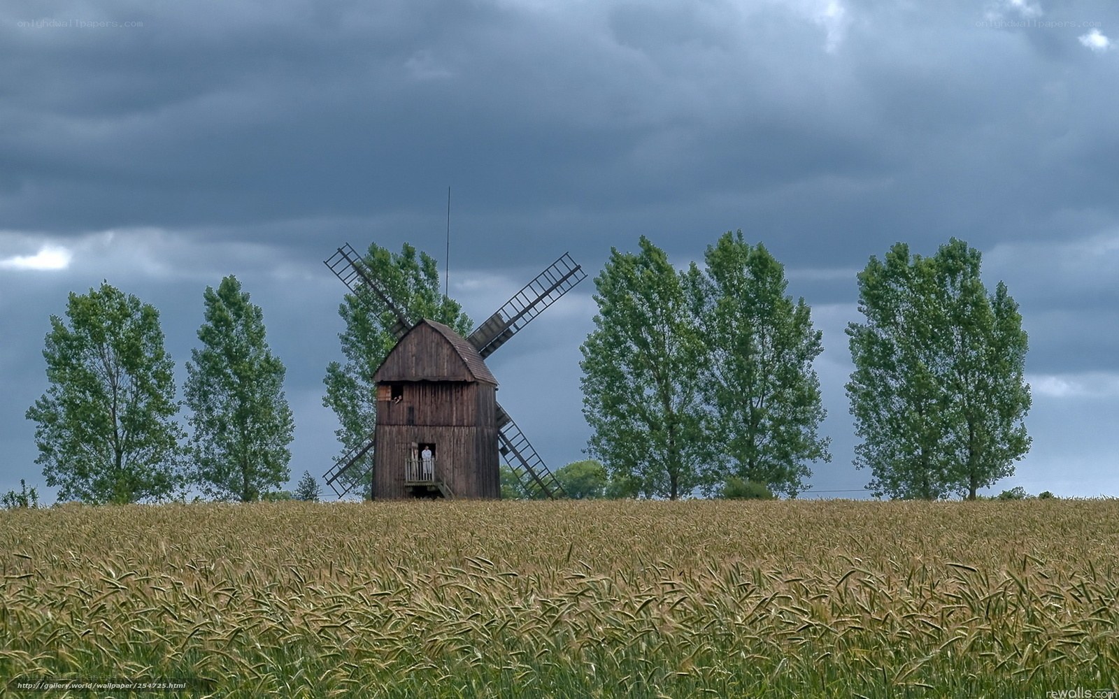 Windmill in a wheat field
