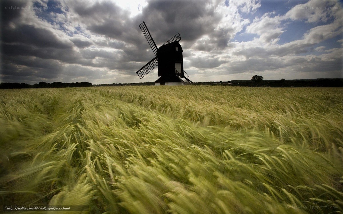 Windmill in a wheat field