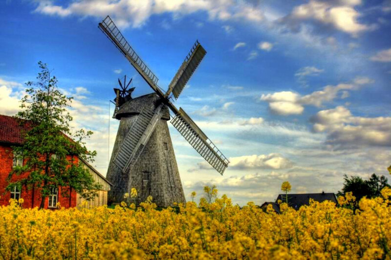 Windmill in a yellow field