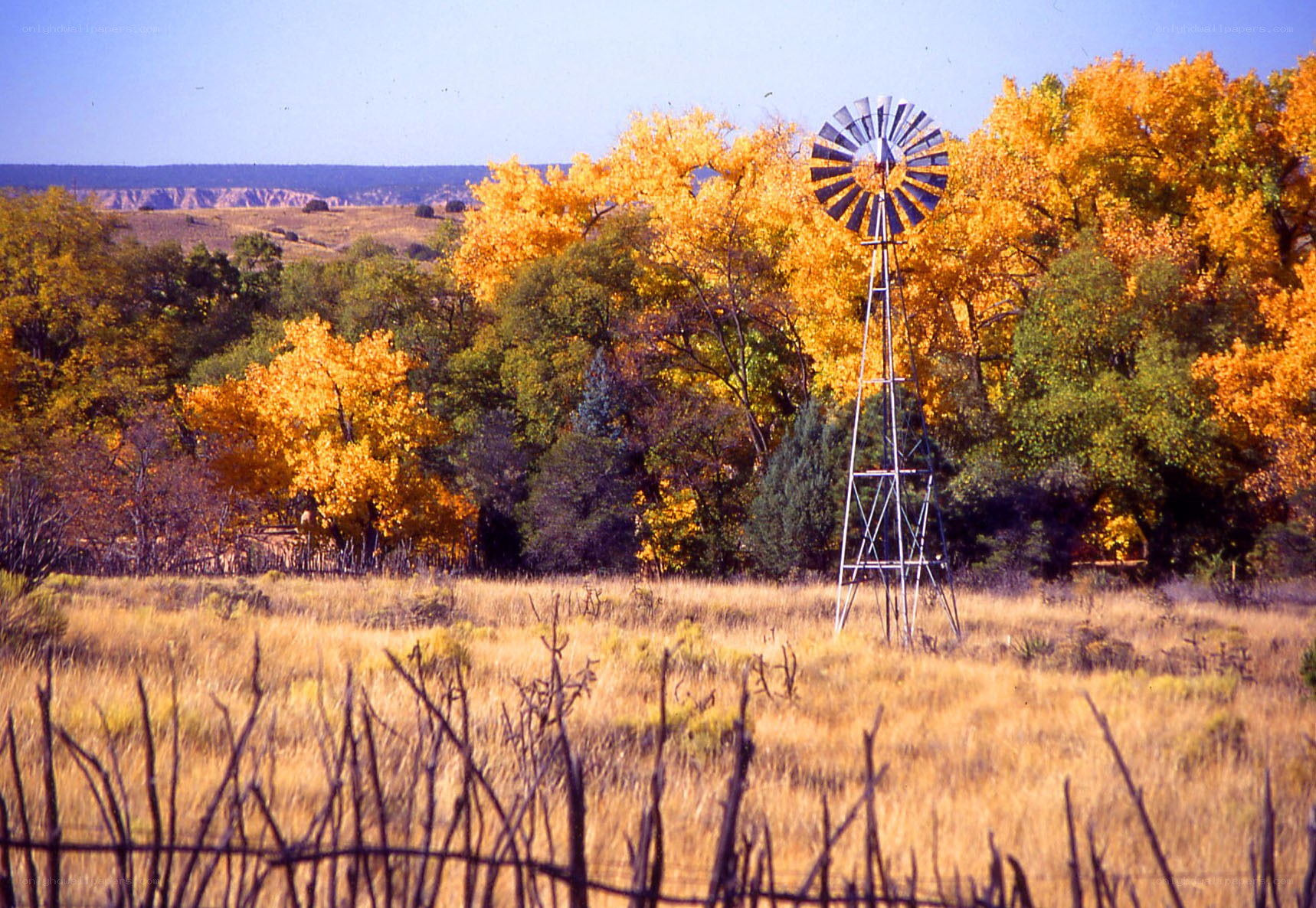 Windmill in autumn landscape