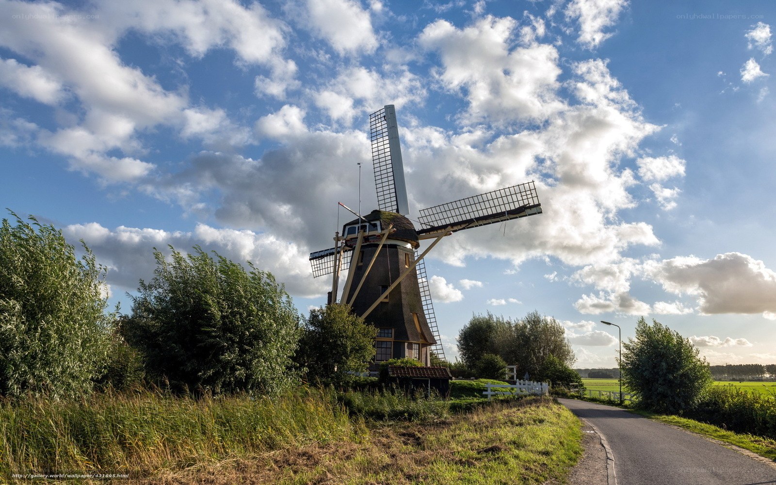 Windmill in Dutch countryside