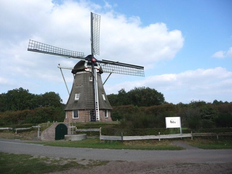 Windmill in Field — Blue, Serene
