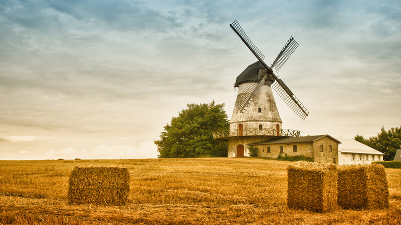 Windmill in Field — Brown