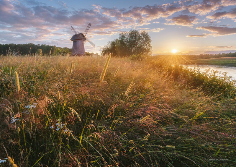 Windmill in Field — Gold
