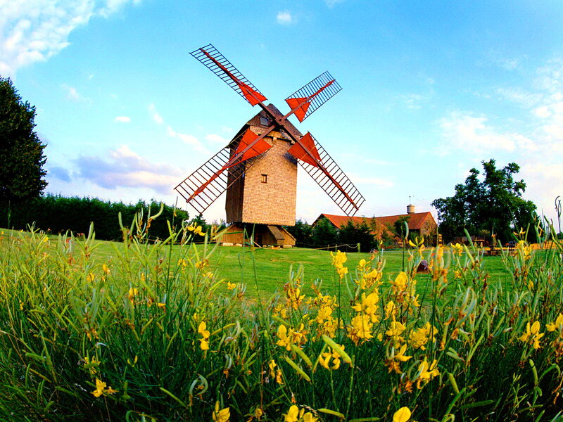 Windmill in Field — Green